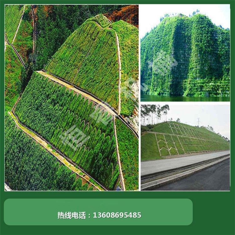 河南恒睿園林綠化工程 從小區(qū)邊坡到垃圾填埋場(chǎng)的專業(yè)施工方案