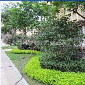 福州園林綠化 設計、施工與工程實例全覽