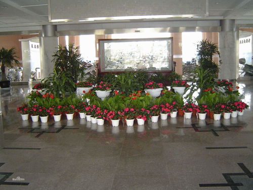 深圳盆景批發(fā) 園林綠化工程的藝術(shù)與商業(yè)融合